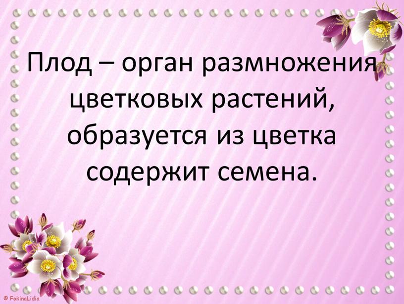 Плод – орган размножения цветковых растений, образуется из цветка содержит семена