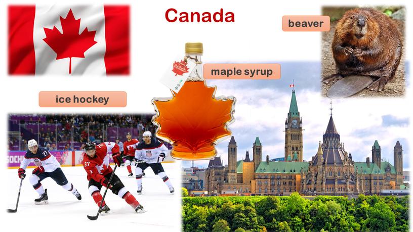 Canada ice hockey maple syrup beaver
