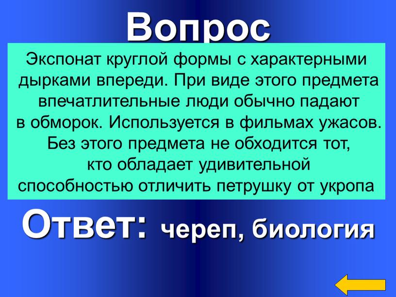 Вопрос Ответ: череп, биология Экспонат круглой формы с характерными дырками впереди