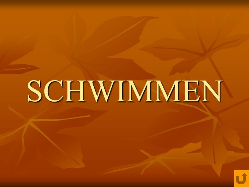 SCHWIMMEN