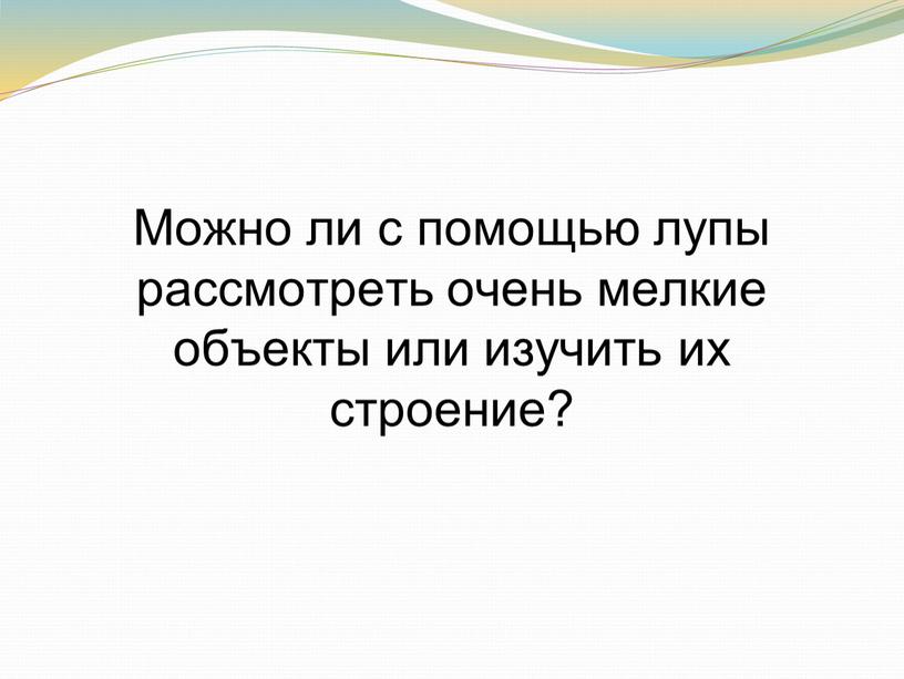 Можно ли с помощью лупы рассмотреть очень мелкие объекты или изучить их строение?