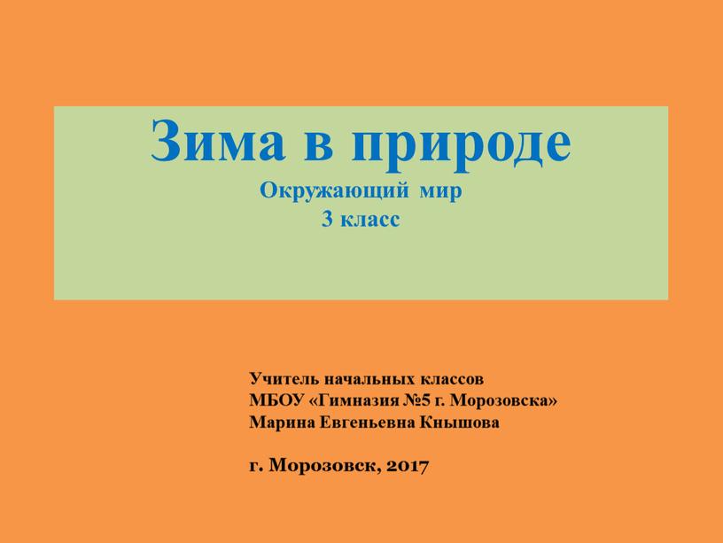 Зима в природе Окружающий мир 3 класс