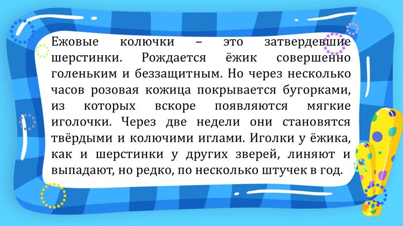 Ежовые колючки – это затвердевшие шерстинки