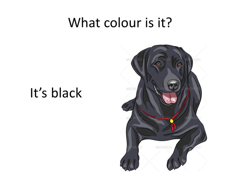 What colour is it? It’s black