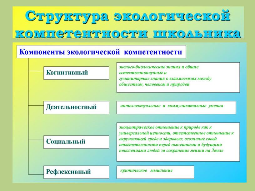 Практико-деятельностный компонент экологического воспитания обучающихся