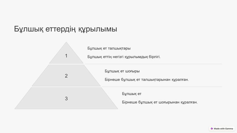 Бұлшық еттердің құрылымы 1 Бұлшық ет талшықтары