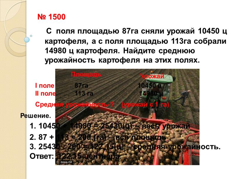 С поля площадью 87га сняли урожай 10450 ц картофеля, а с поля площадью 113га собрали 14980 ц картофеля