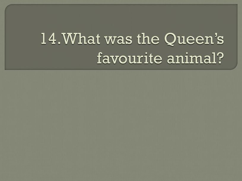 What was the Queen’s favourite animal?