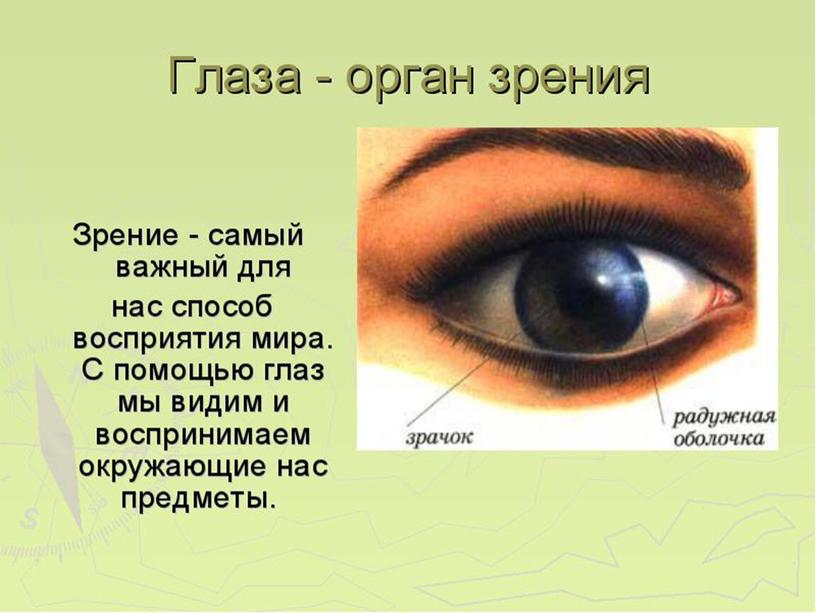 Презентация проекта на тему «Хорошее зрение-залог счастливой жизни в ярких красках!» 8 класс
