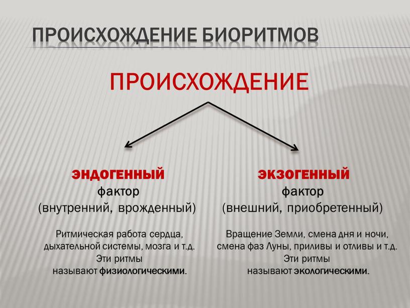 Происхождение биоритмов ПРОИСХОЖДЕНИЕ