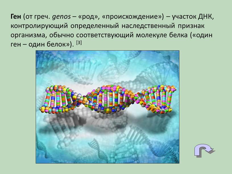 Ген (от греч. genos – «род», «происхождение») – участок