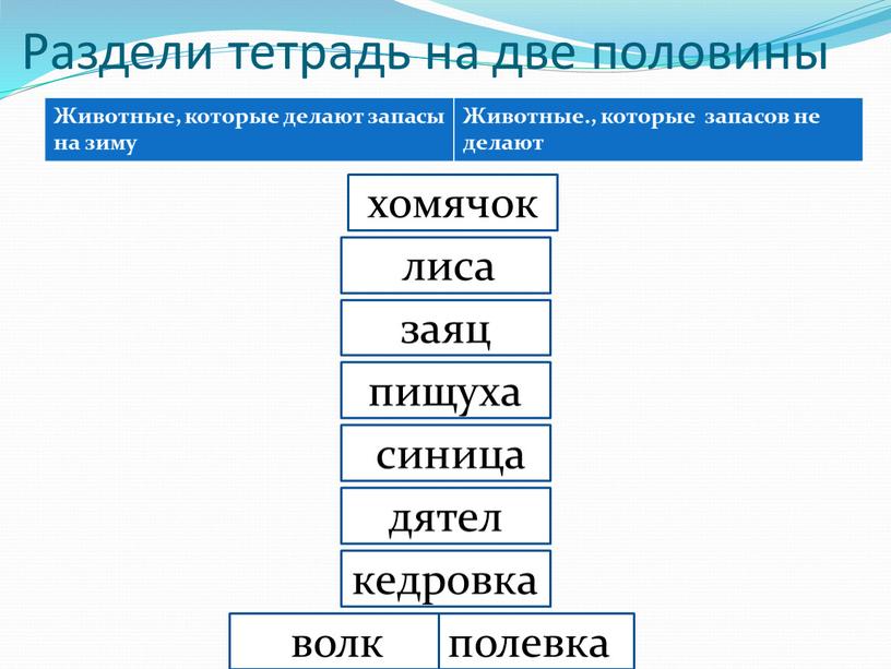 Раздели тетрадь на две половины