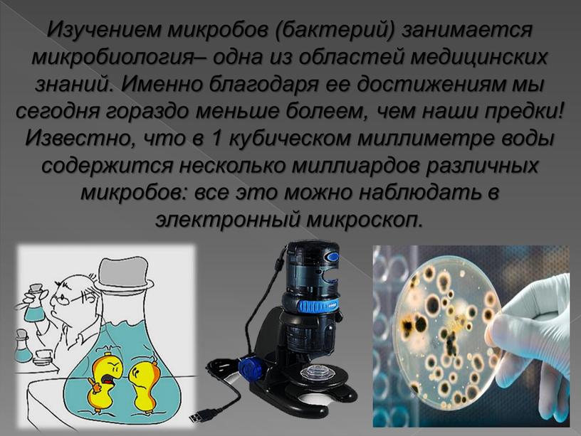 Изучением микробов (бактерий) занимается микробиология– одна из областей медицинских знаний
