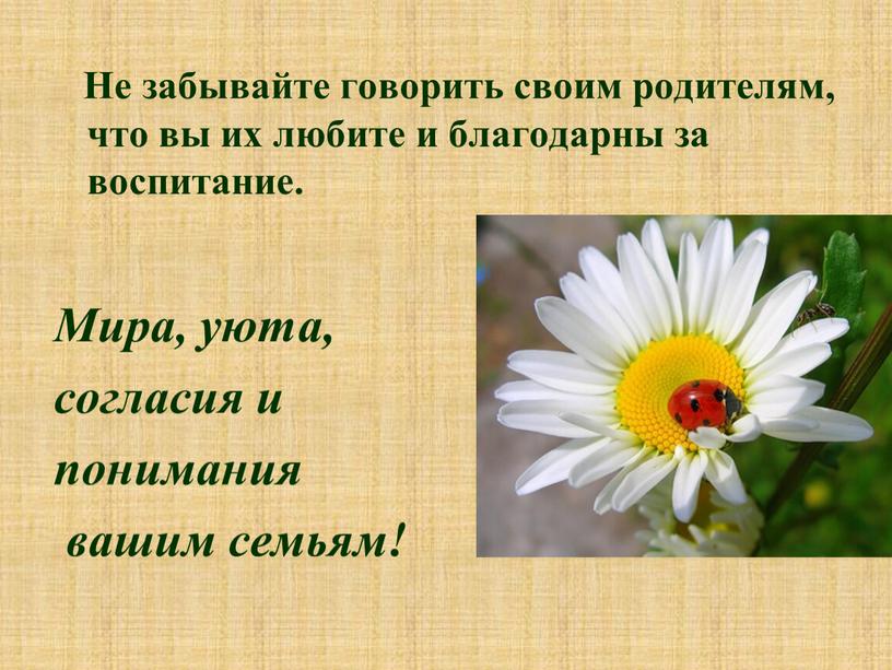 Не забывайте говорить своим родителям, что вы их любите и благодарны за воспитание