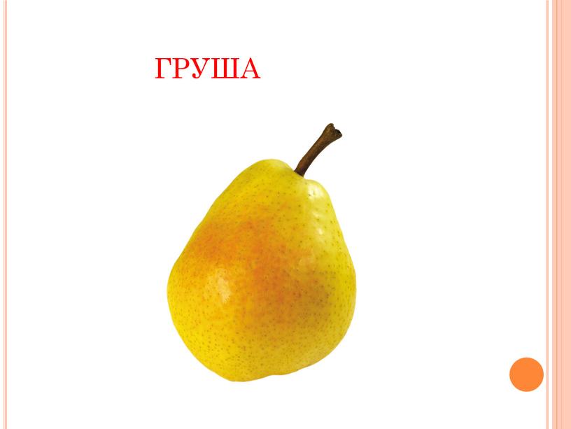 груша