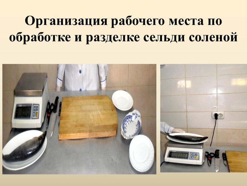 Организация рабочего места по обработке и разделке сельди соленой