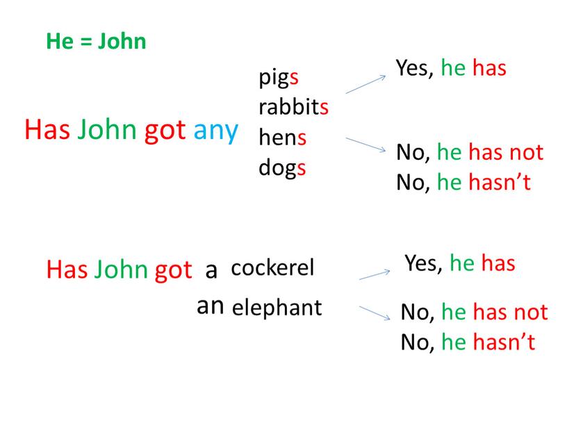 He = John Has John got any pigs rabbits hens dogs