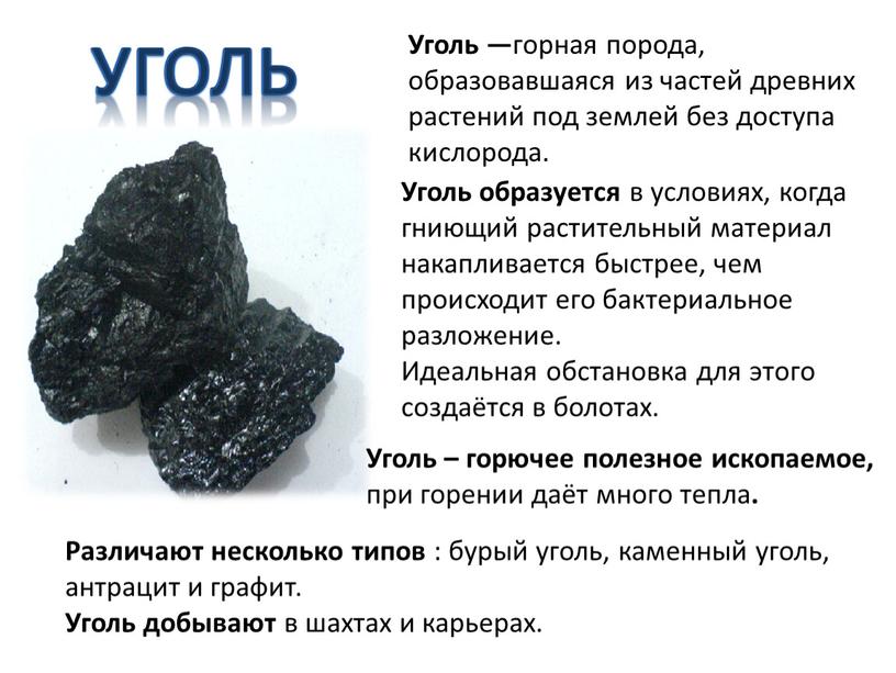 Уголь — горная порода, образовавшаяся из частей древних растений под землей без доступа кислорода