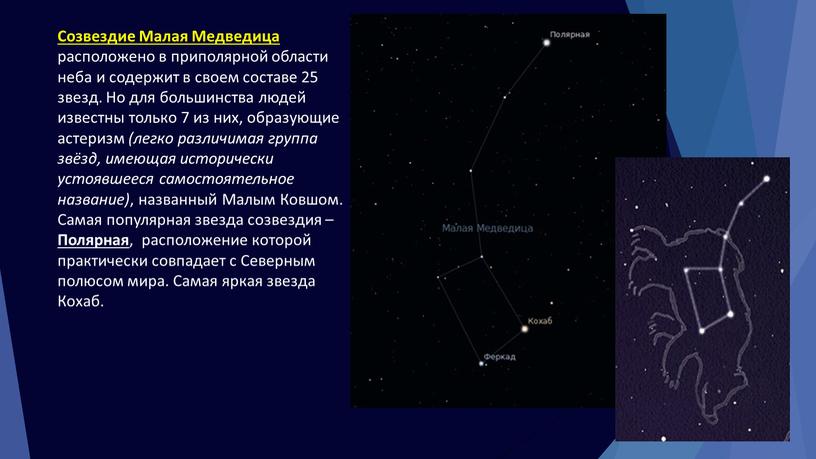 Созвездие Малая Медведица расположено в приполярной области неба и содержит в своем составе 25 звезд