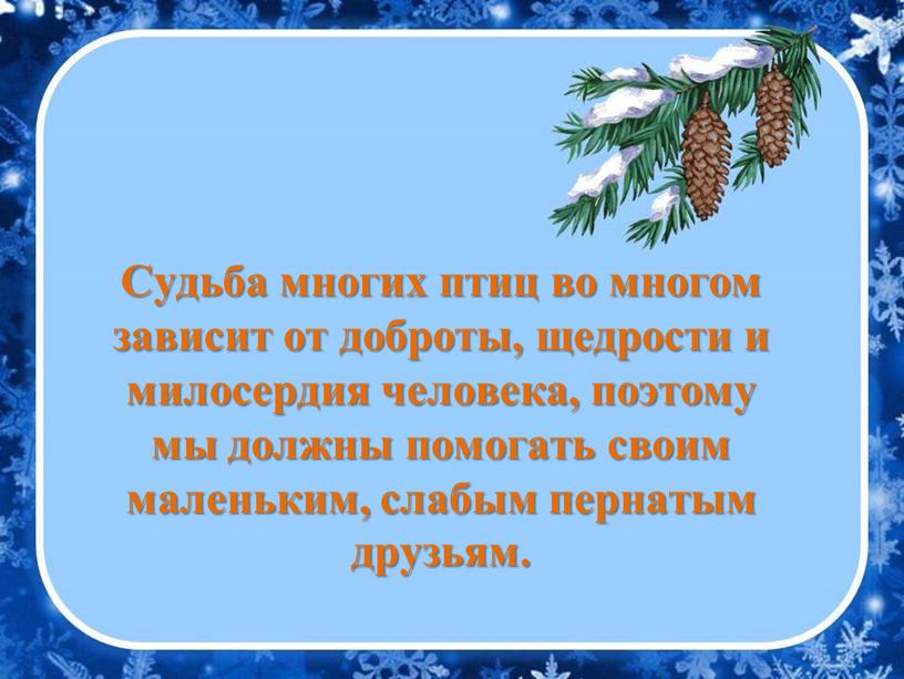 Судьба многих птиц во многом зависит от доброты, щедрости и милосердия человека, поэтому мы должны помогать своим маленьким, слабым пернатым друзьям