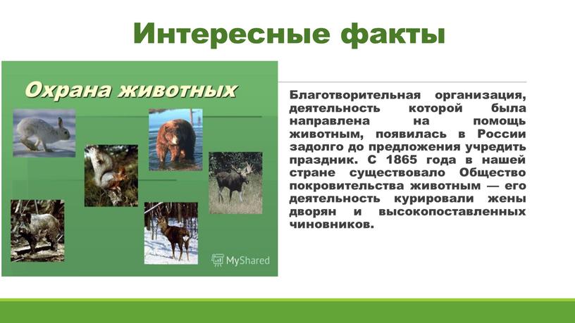 Интересные факты Благотворительная организация, деятельность которой была направлена на помощь животным, появилась в