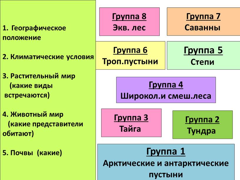 Группа 8 Экв. лес Группа 4 Широкол