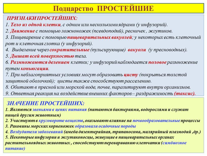 ПРИЗНАКИ ПРОСТЕЙШИХ: 1. Тело из одной клетки , с одним или несколькими ядрами (у инфузорий)