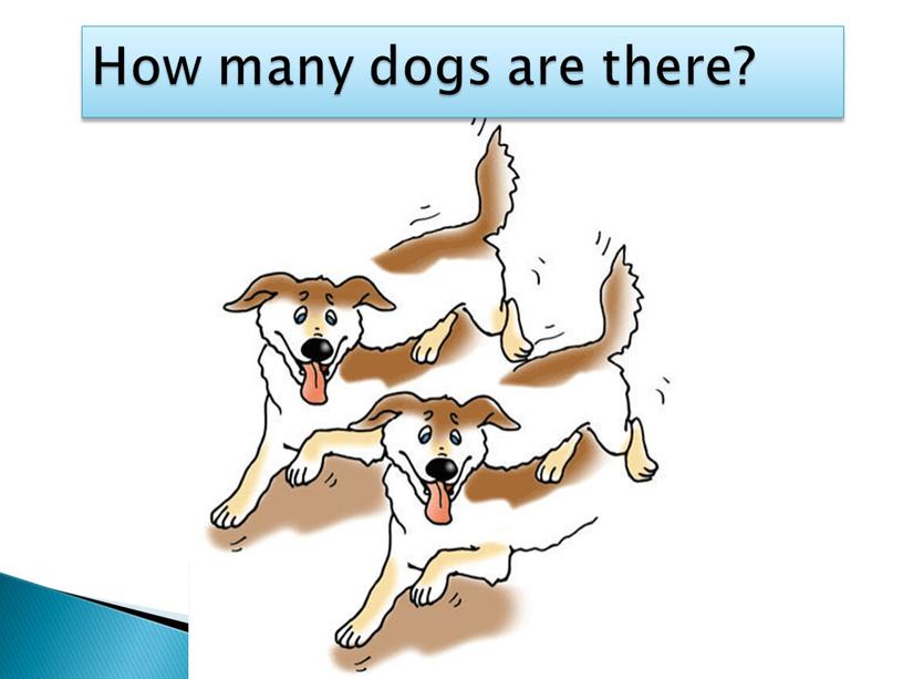 How many dogs are there?