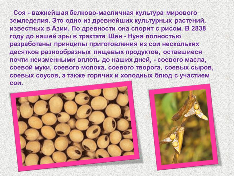 Соя - важнейшая белково-масличная культура мирового земледелия