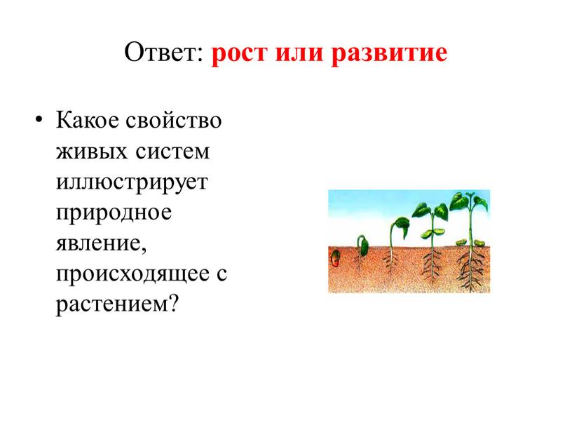 Ответ: рост или развитие Какое свойство живых систем иллюстрирует природное явление, происходящее с растением?