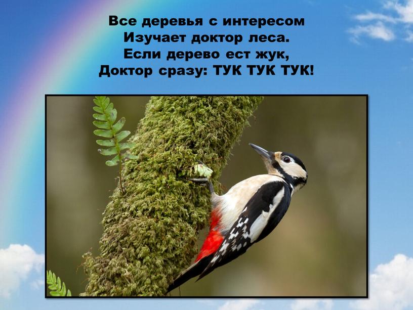 Все деревья с интересом Изучает доктор леса
