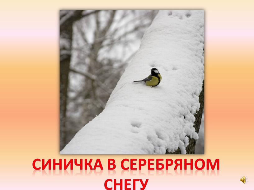 Синичка в серебряном снегу