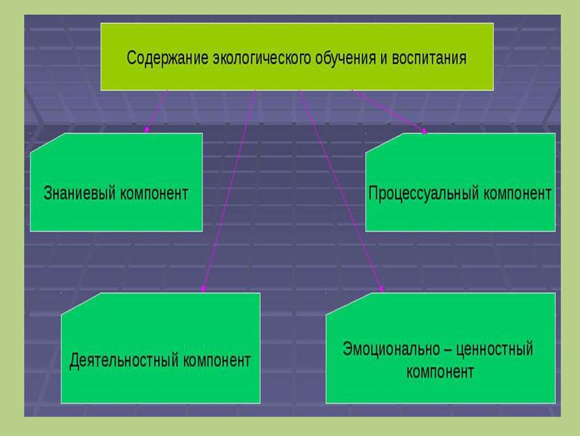 Практико-деятельностный компонент экологического воспитания обучающихся