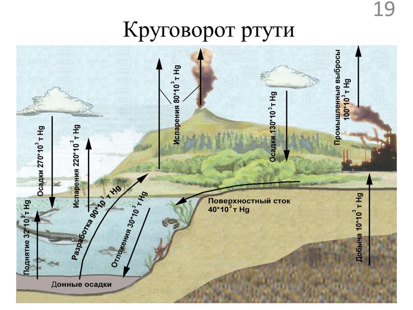 Круговорот ртути 19