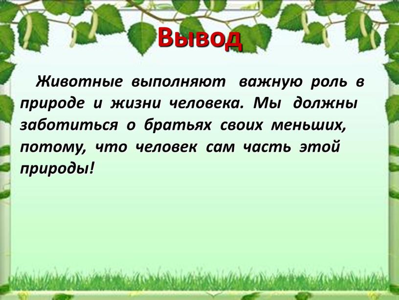 Вывод Животные выполняют важную роль в природе и жизни человека