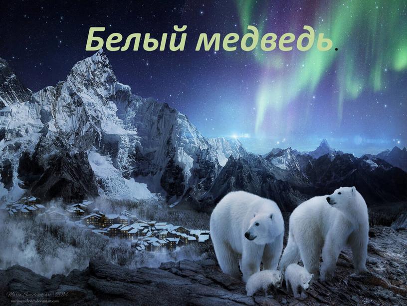 Белый медведь .