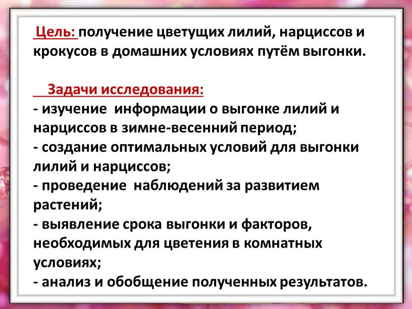 Цель: получение цветущих лилий, нарциссов и крокусов в домашних условиях путём выгонки