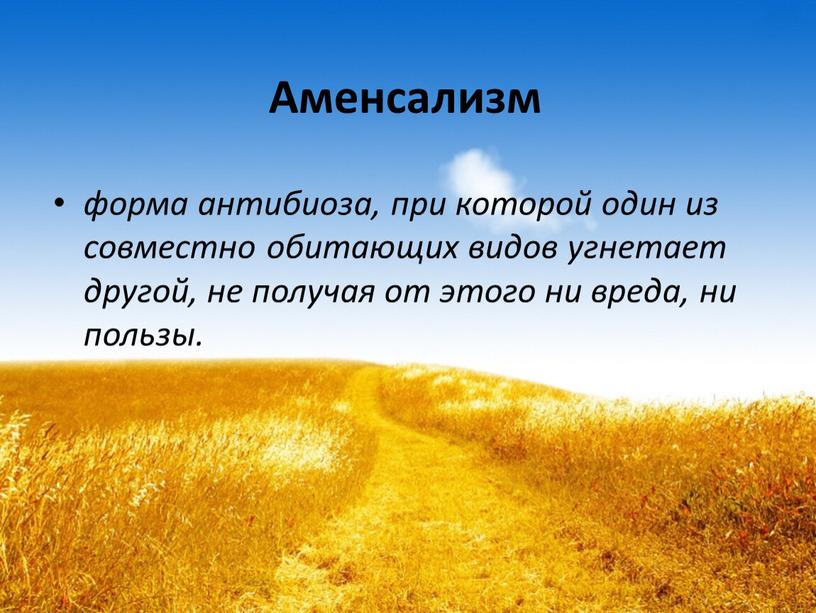 Аменсализм форма антибиоза, при которой один из совместно обитающих видов угнетает другой, не получая от этого ни вреда, ни пользы