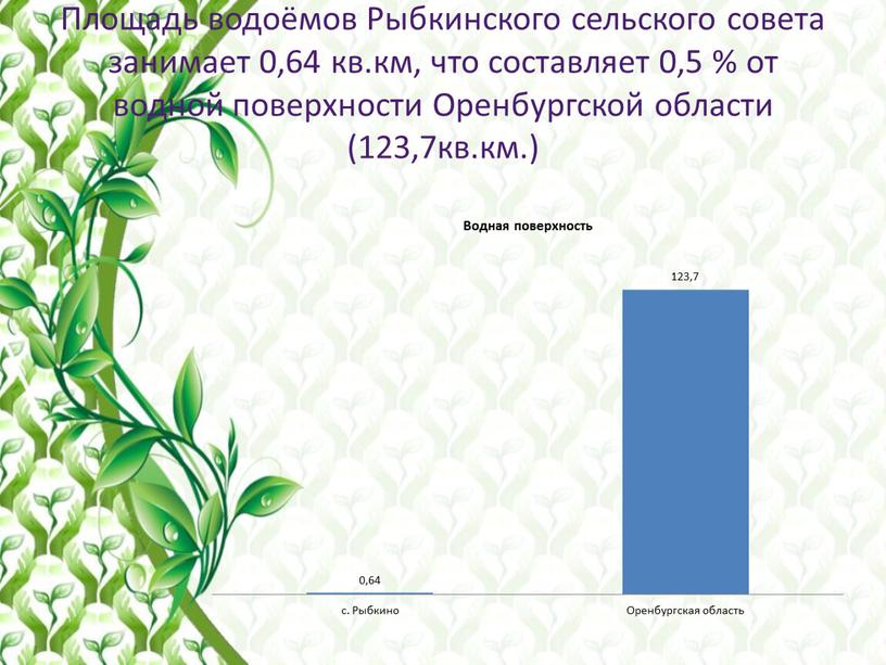 Площадь водоёмов Рыбкинского сельского совета занимает 0,64 кв