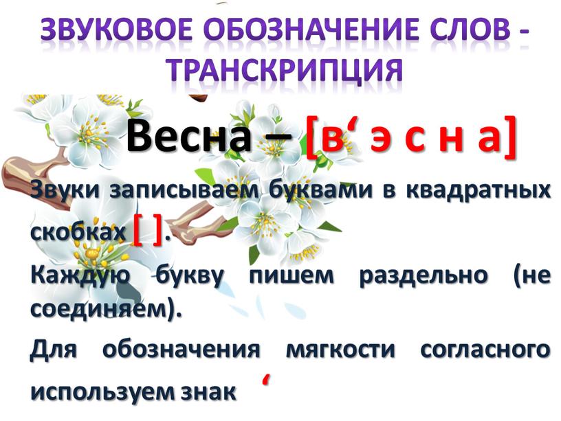 Весна – [в‘ э с н а] Звуки записываем буквами в квадратных скобках [ ]