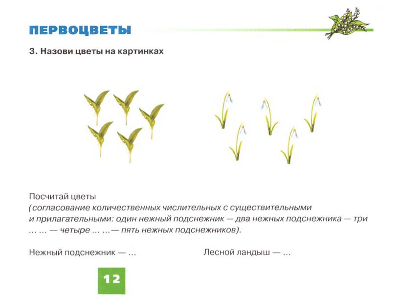 Презентация "Садовые, полевые цветы"