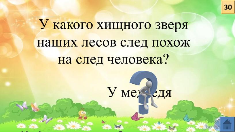 У какого хищного зверя наших лесов след похож на след человека?