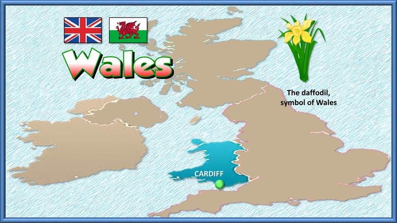 The daffodil, symbol of Wales