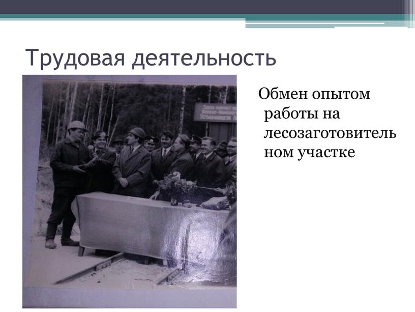 Трудовая деятельность Обмен опытом работы на лесозаготовительном участке