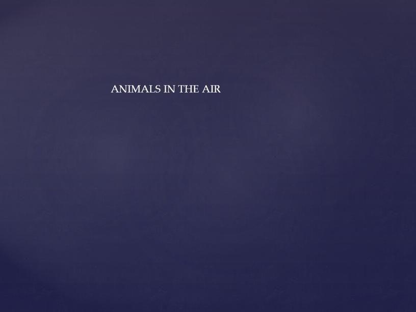 ANIMALS IN THE AIR