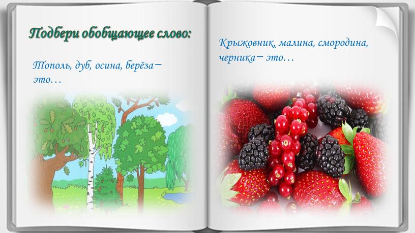 Подбери обобщающее слово: Тополь, дуб, осина, берёза ̶ это…