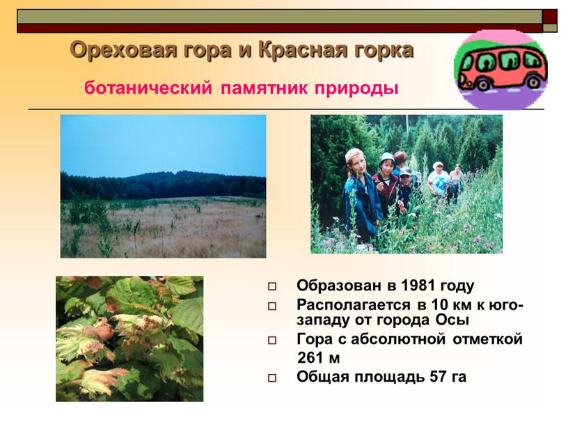 Ореховая гора и Красная горка ботанический памятник природы