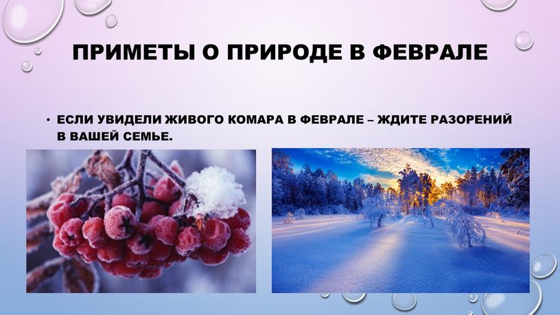 Приметы о природе в феврале Если увидели живого комара в феврале – ждите разорений в вашей семье