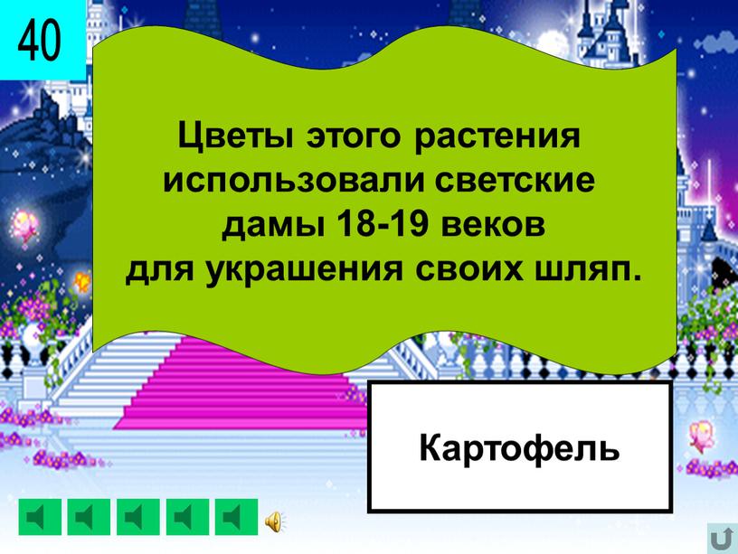 Цветы этого растения использовали светские дамы 18-19 веков для украшения своих шляп