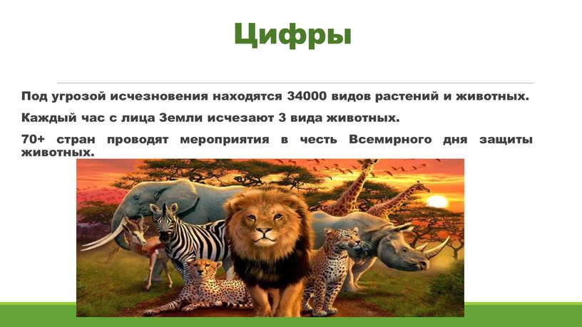 Цифры Под угрозой исчезновения находятся 34000 видов растений и животных